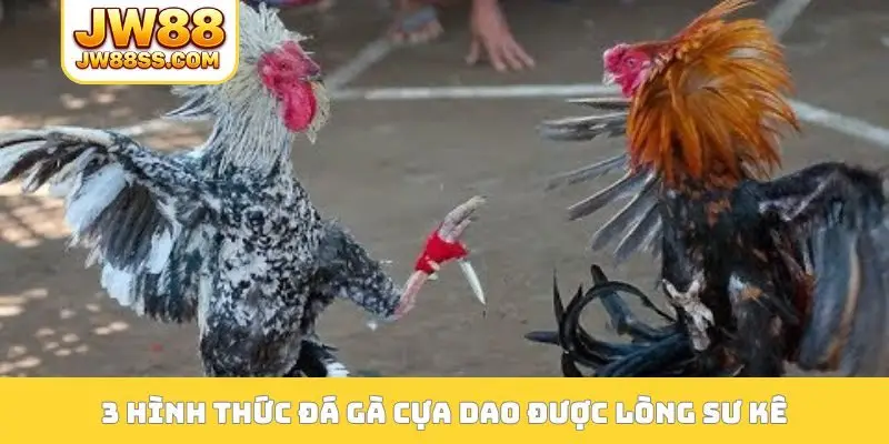 3 hình thức đá gà cựa dao được lòng sư kê