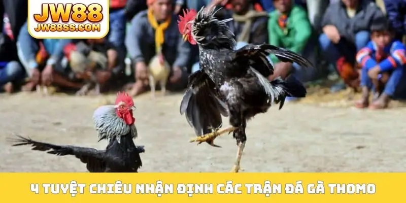 4 tuyệt chiêu nhận định các trận đá gà Thomo