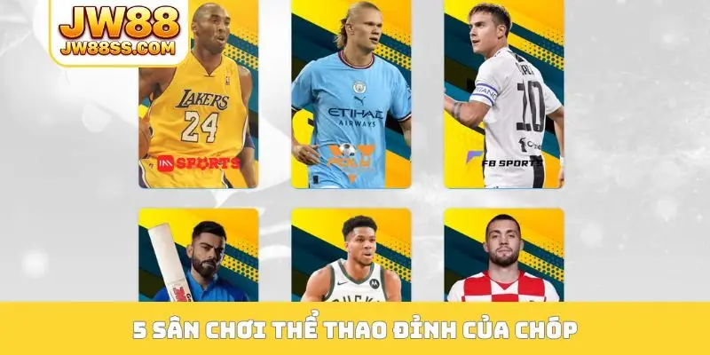 5 sân chơi thể thao đỉnh của chóp