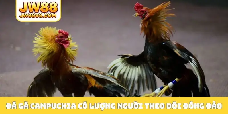 Phân tích đá gà Campuchia độ chính xác cao