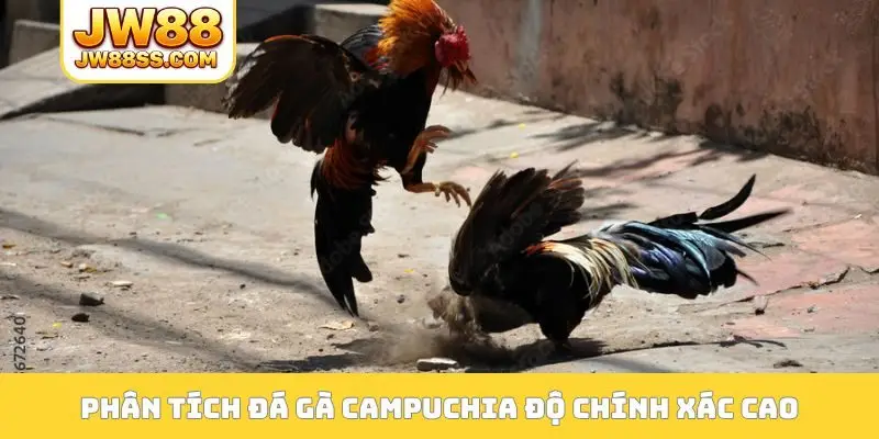 3 hình thức đá gà Campuchia được ưa chuộng số 1